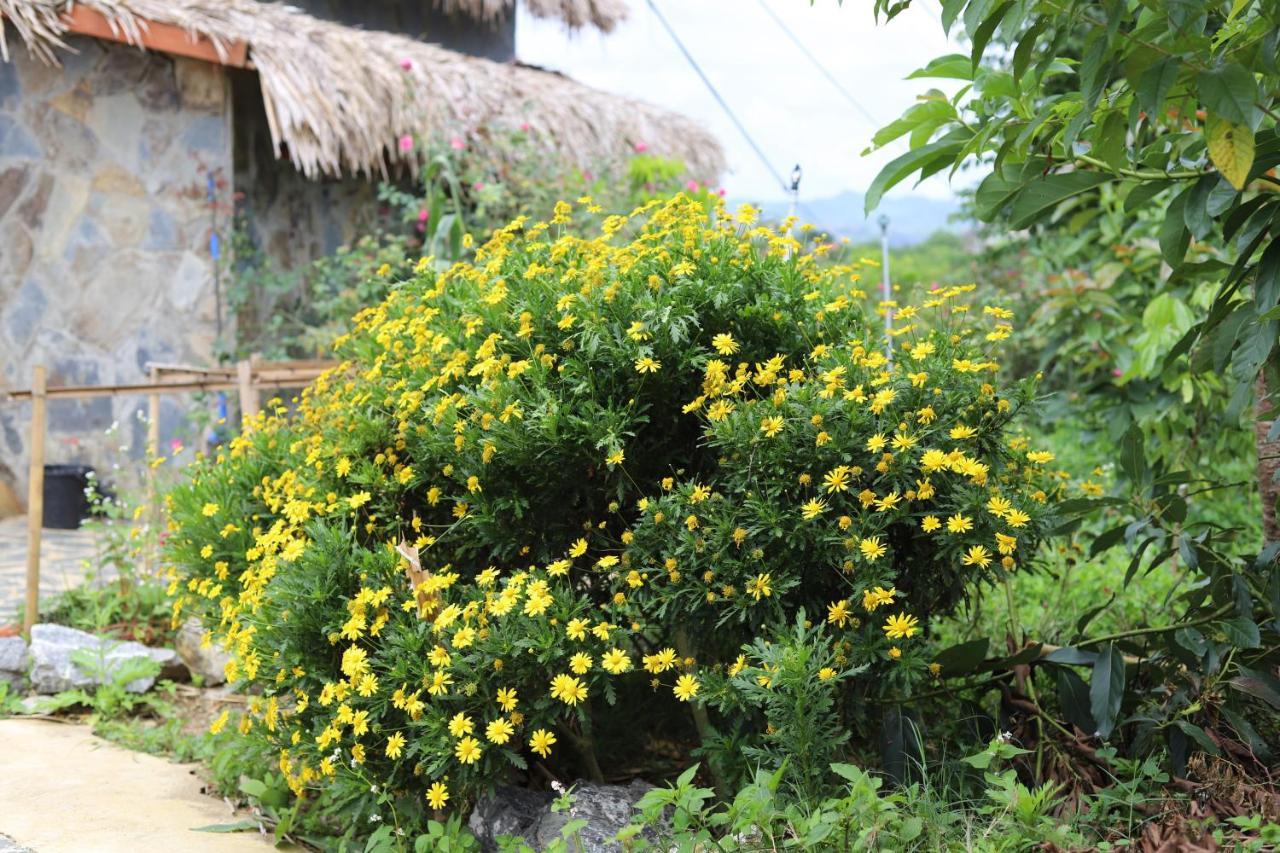 Ferienwohnung Moc Chau Peachy Garden Exterior foto