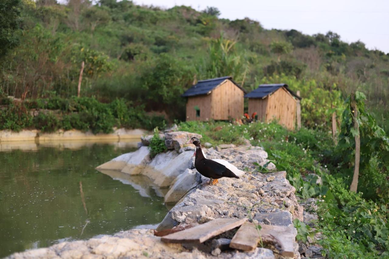 Ferienwohnung Moc Chau Peachy Garden Exterior foto