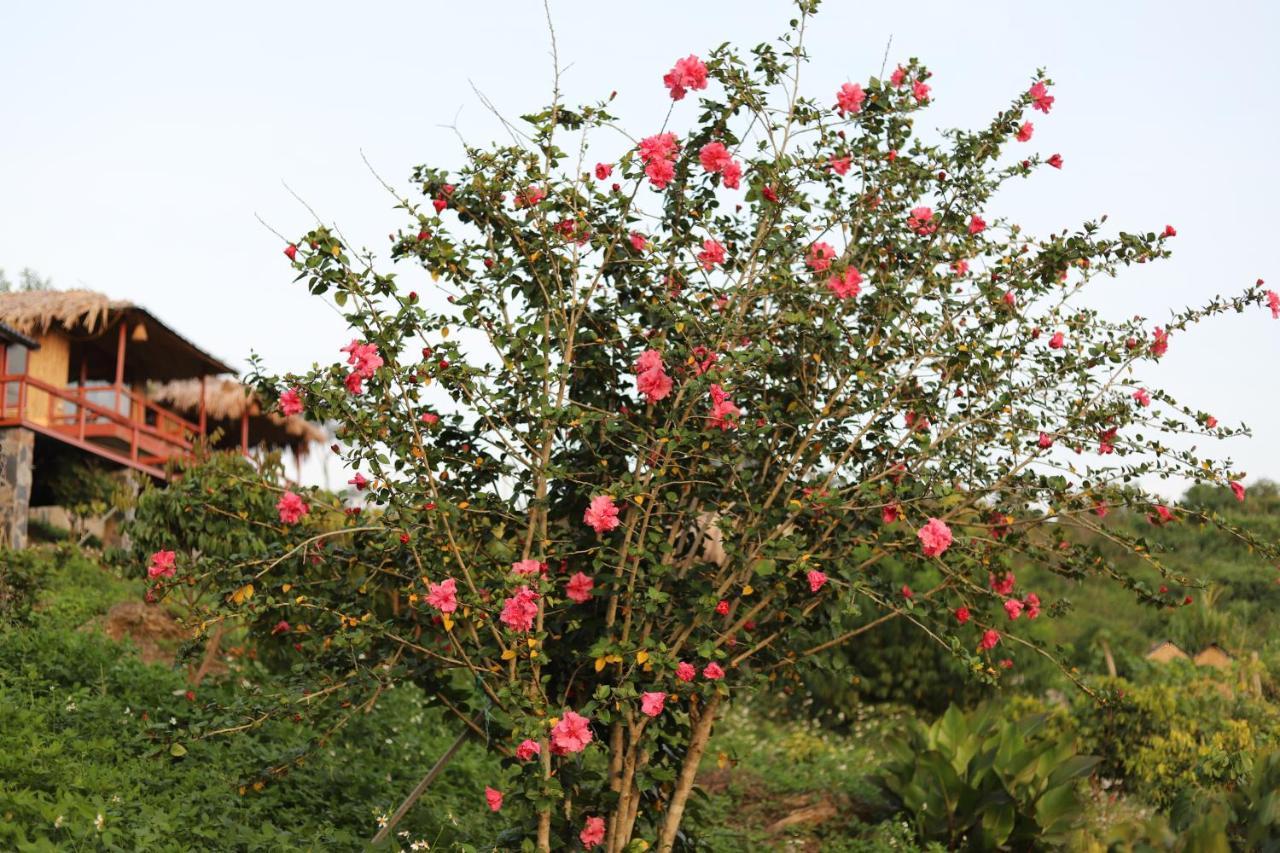 Ferienwohnung Moc Chau Peachy Garden Exterior foto