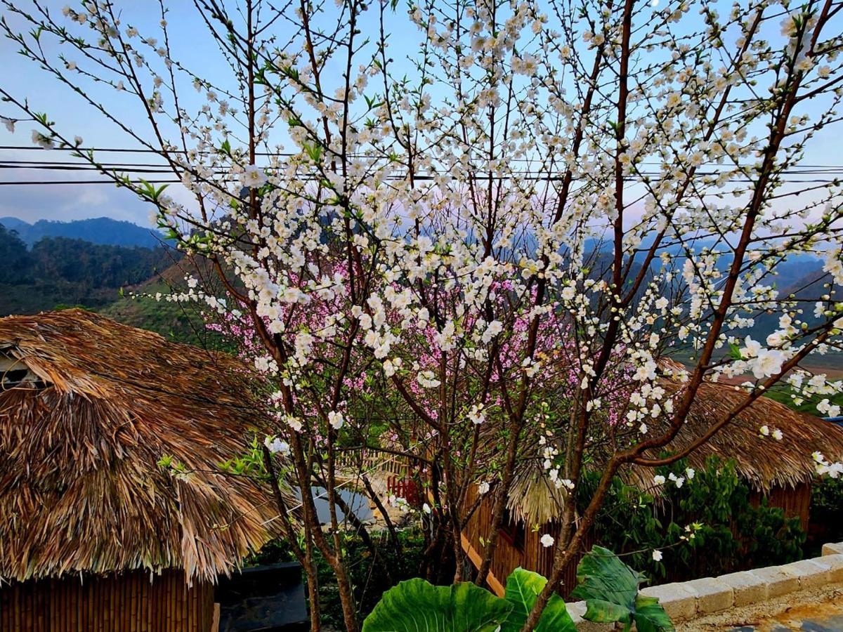 Ferienwohnung Moc Chau Peachy Garden Exterior foto