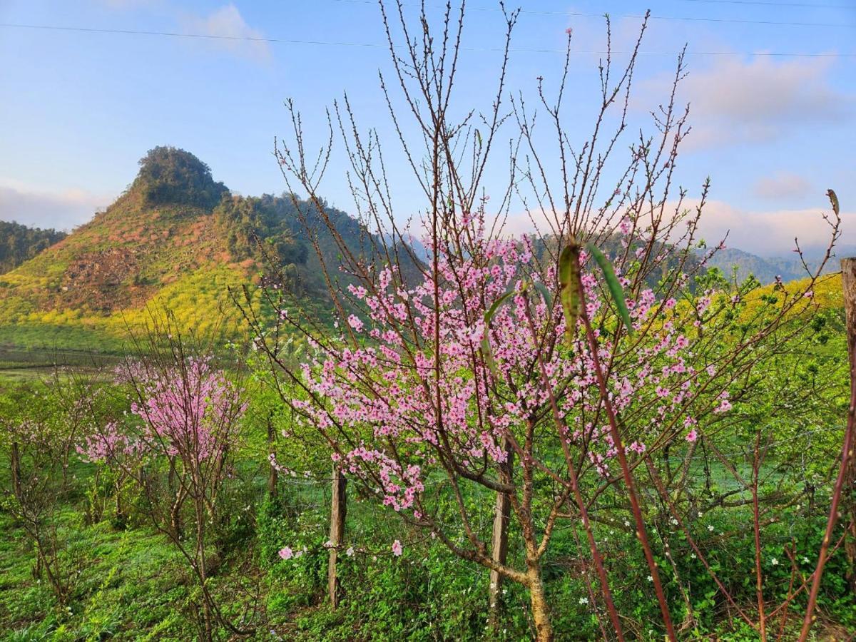 Ferienwohnung Moc Chau Peachy Garden Exterior foto