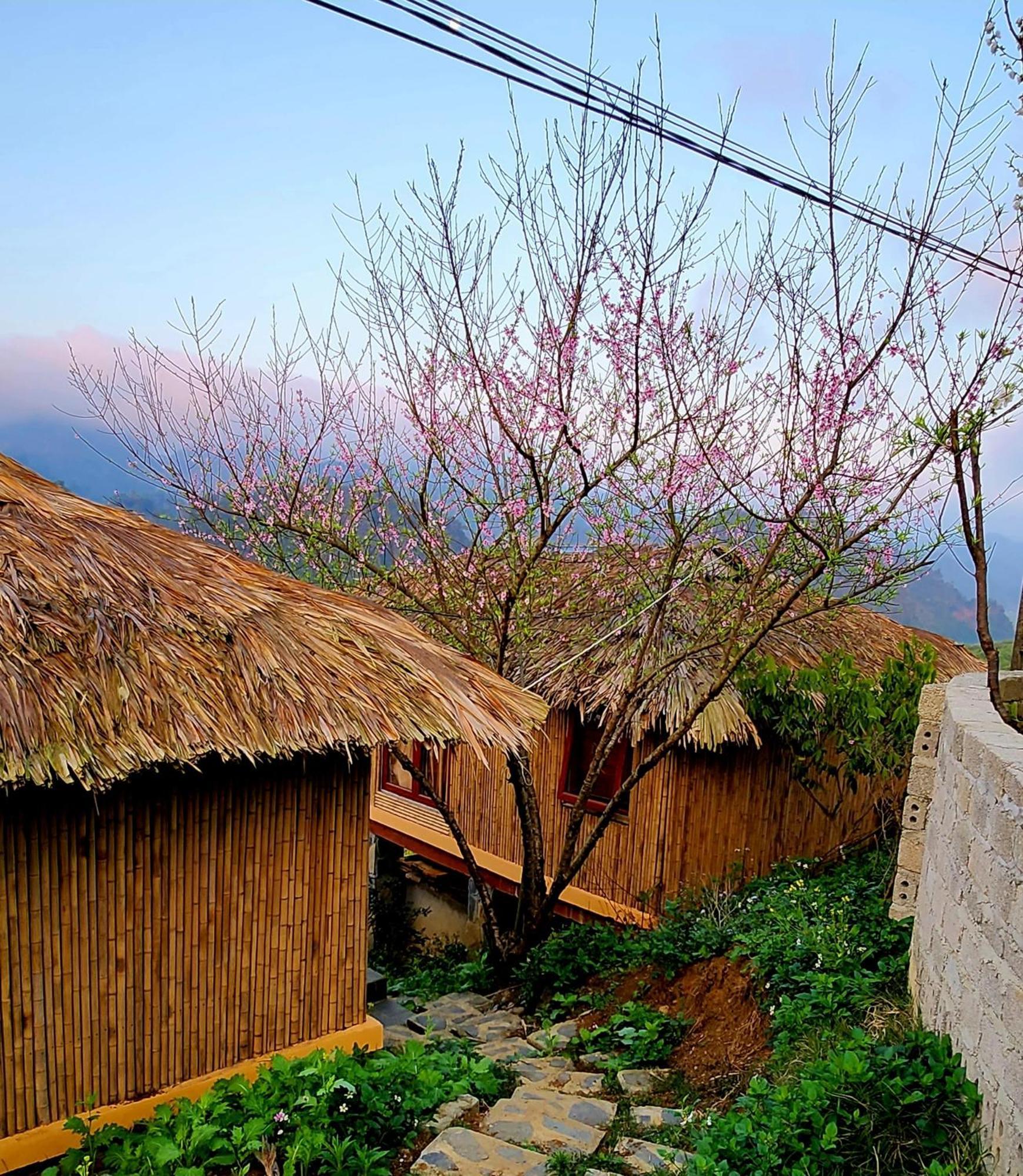 Ferienwohnung Moc Chau Peachy Garden Exterior foto