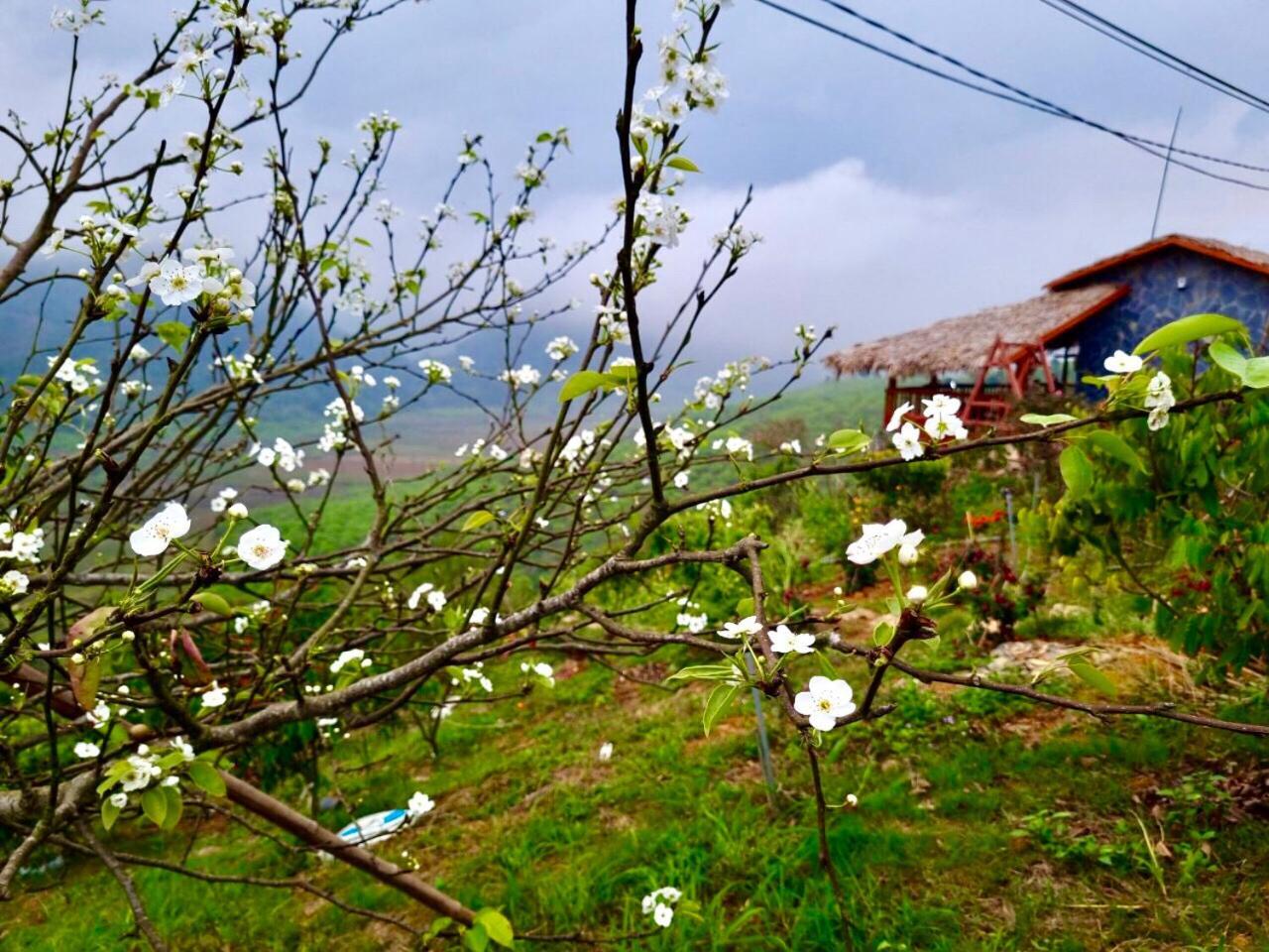Ferienwohnung Moc Chau Peachy Garden Exterior foto