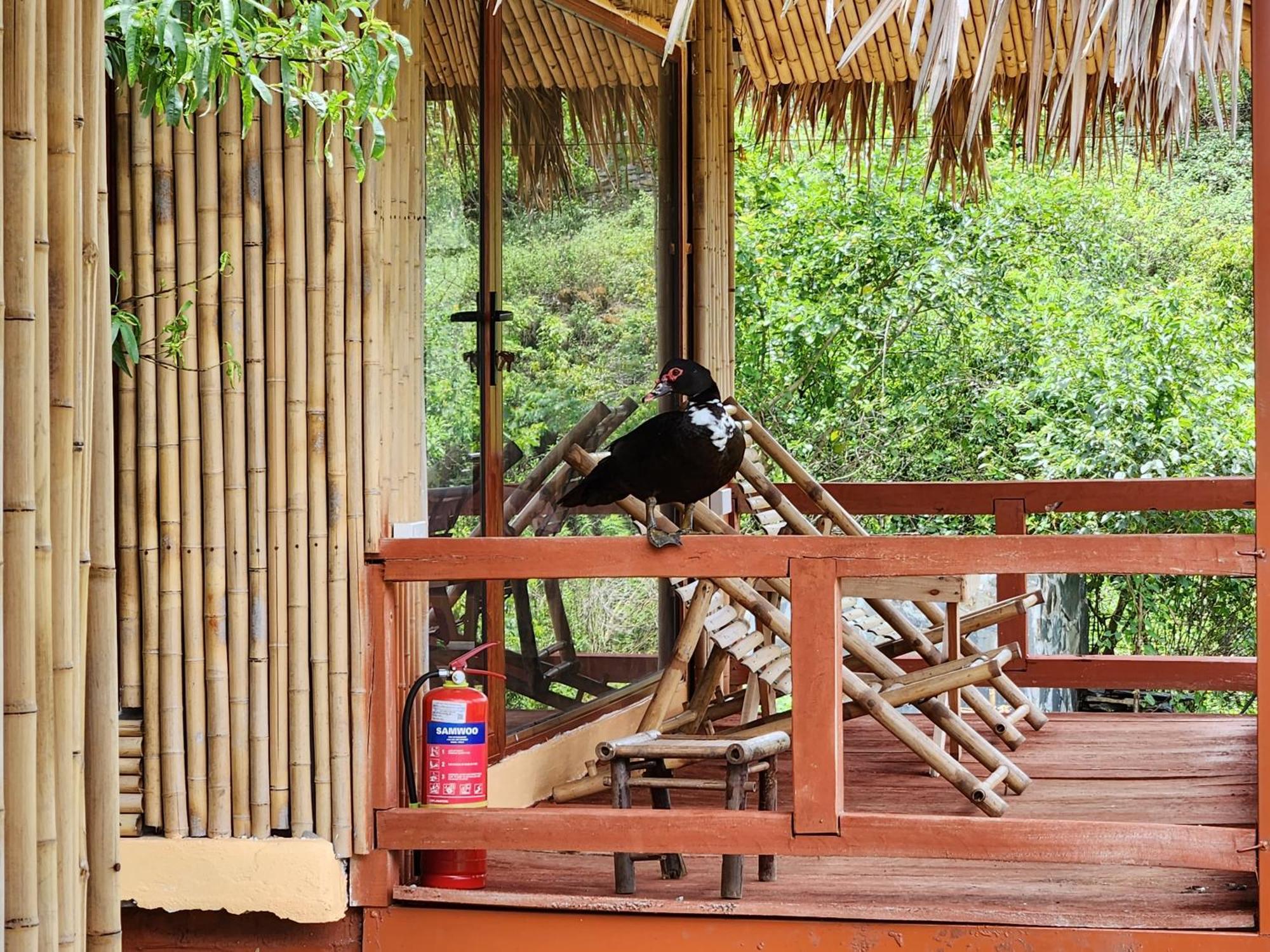 Ferienwohnung Moc Chau Peachy Garden Zimmer foto