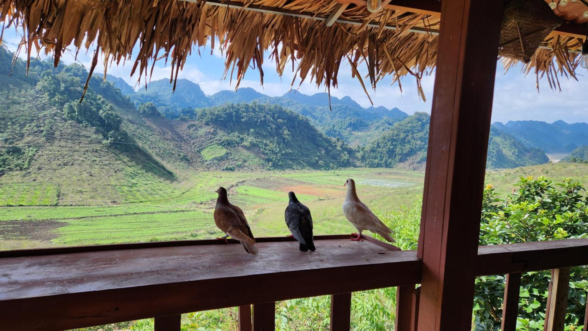 Ferienwohnung Moc Chau Peachy Garden Zimmer foto
